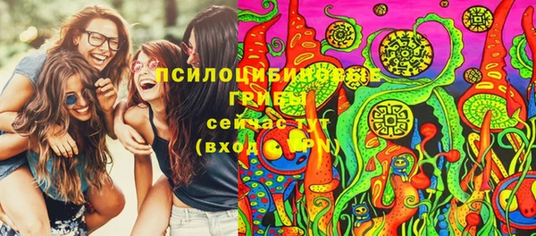 СК Алексин