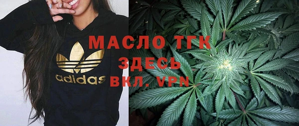 СК Алексин