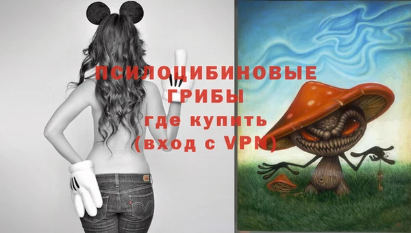 СК Алексин