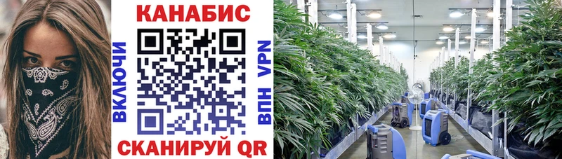 дарнет шоп  omg ТОР  МАРИХУАНА THC 21%  Тавда 